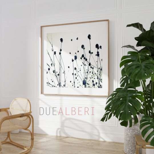  Modern black and white nature print, modern
art, black and white nature print, large art print, Wall decor living room,
Extra Large wall art