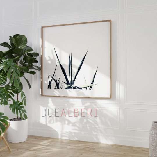  Tropical abstract black and white wall art,
Colorful Abstract minimalist fine art print, Large abstract nature succulent
print