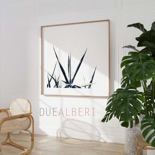  Tropical abstract black and white wall art,
Colorful Abstract minimalist fine art print, Large abstract nature succulent
print