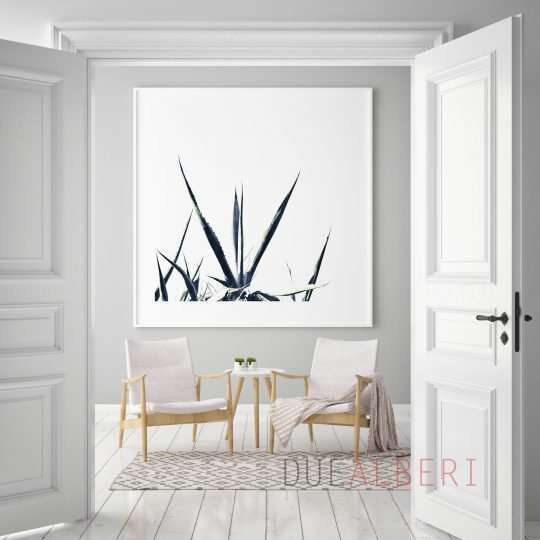  Tropical abstract black and white wall art,
Colorful Abstract minimalist fine art print, Large abstract nature succulent
print