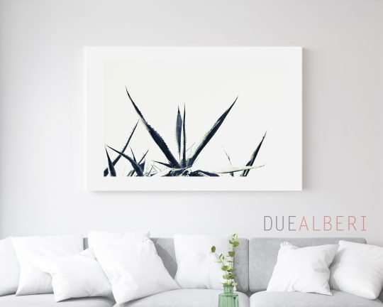  Tropical abstract black and white wall art,
Colorful Abstract minimalist fine art print, Large abstract nature succulent
print
